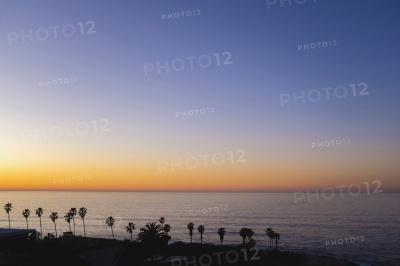 Ocean sunset with silhouettes of palm trees