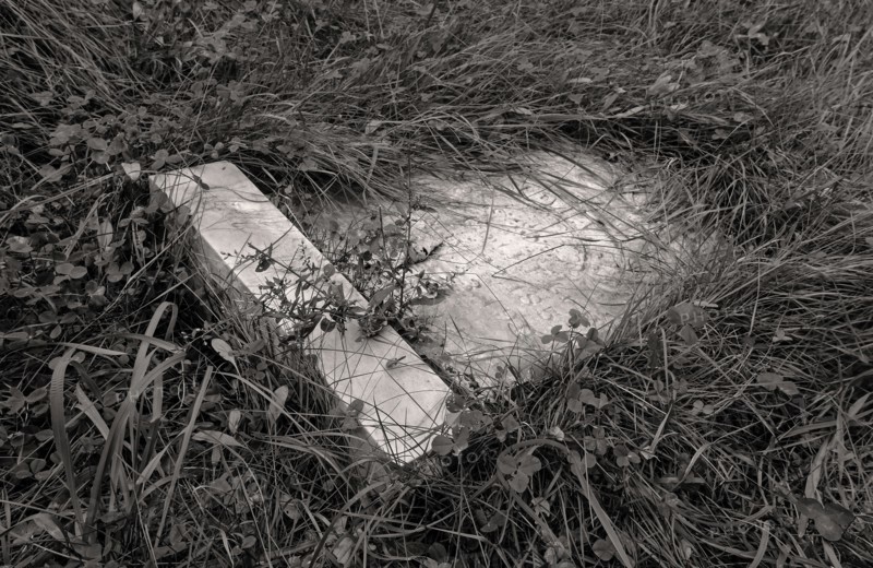 Weathered gravestone laying on ground surrounded by overgrown grass