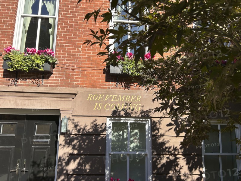 Roevember Is Coming' sign stenciled on residential building exterior, Greenwich Village, New York City, New York, USA