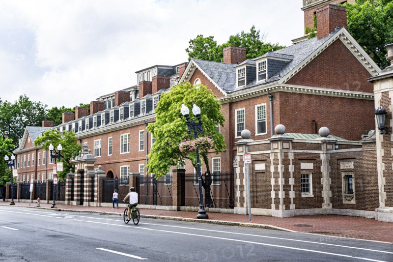Harvard Street, street scene, Harvard University, Cambridge, Massachusetts, USA
