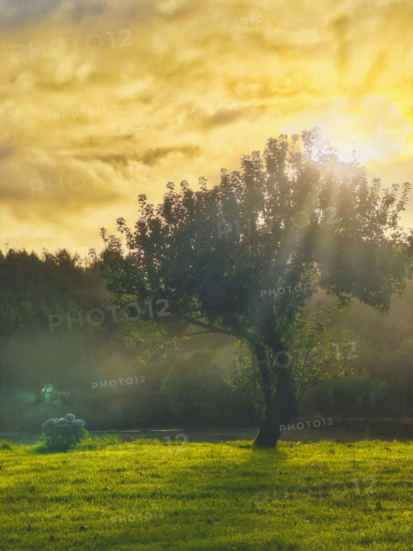 Scenic landscape with early morning fog, Galicia, Spain