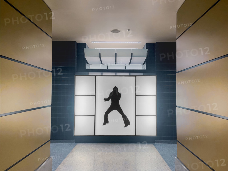 Men's public bathroom entrance with silhouette of Elvis Presley on wall