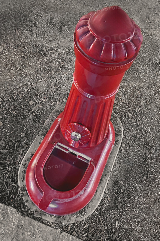 High angle view of public water bowl for domestic pets
