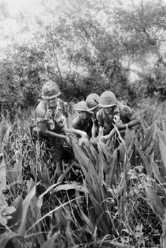 Members of Company B, 4th Battalion, 12th Infantry, 199th infantry Brigade, carrying wounded member of the company from field during fire fight, Lhu Duc District, Vietnam, U.S. Army Signal Corps, October 14, 1967