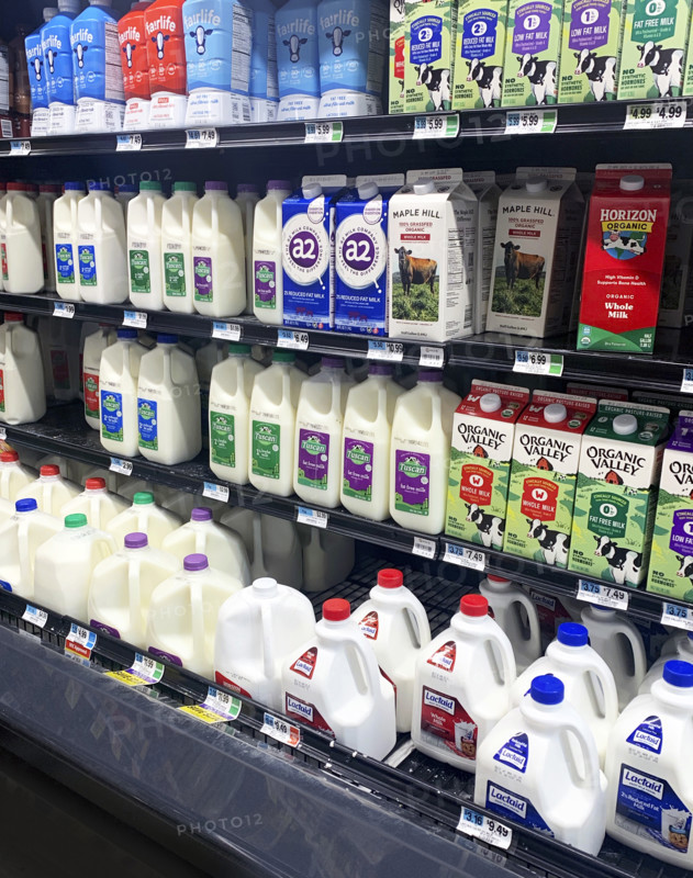 Dairy section in grocery store, Brooklyn, NY, USA