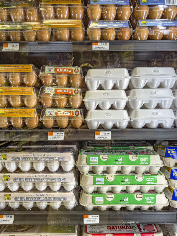 Eggs display in grocery store