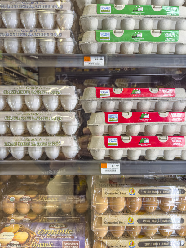 Eggs display in grocery store