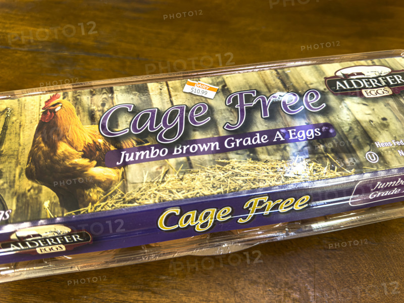 Carton of expensive Cage Free eggs