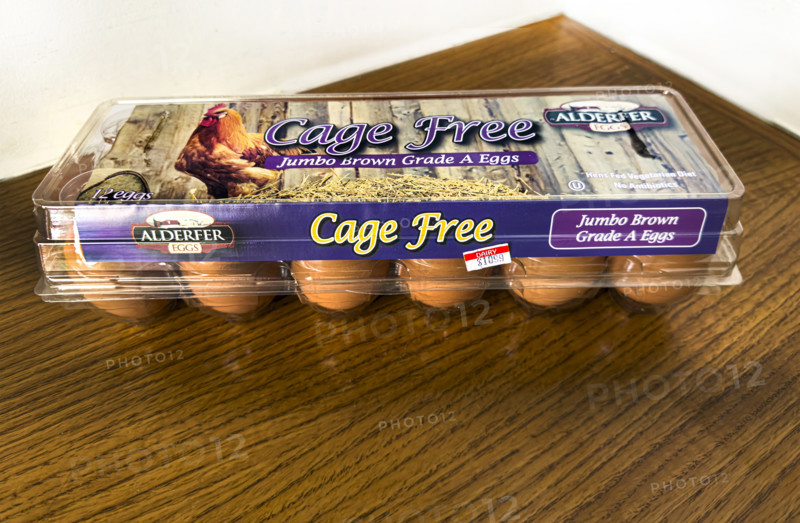 Carton of expensive Cage Free eggs