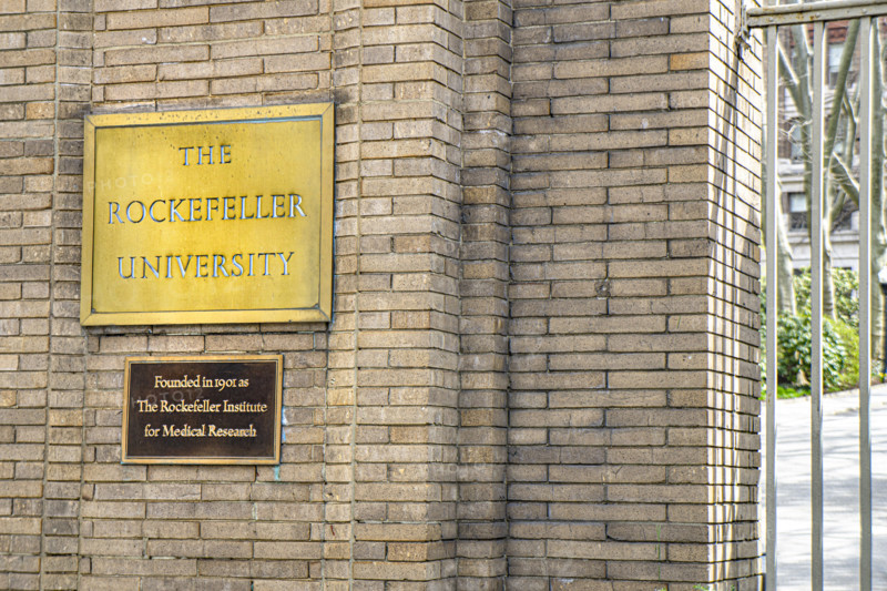 The Rockefeller University, a  private biomedical research and graduate-only university, detail of university name on gold plaque on brick wall, New York City, New York, USA