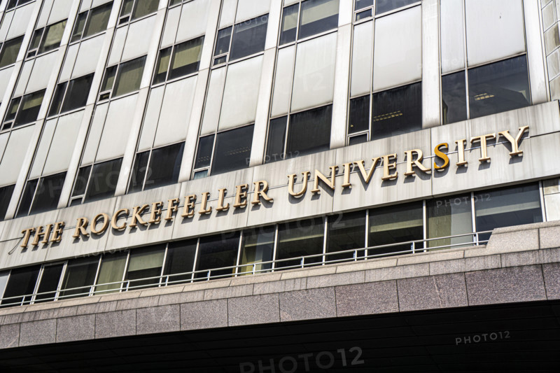 The Rockefeller University, a  private biomedical research and graduate-only university, detail of university name on building exterior, New York City, New York, USA