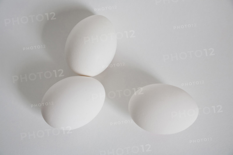 High angle view of three white eggs