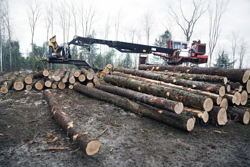 Log loader with stacked timber in forest