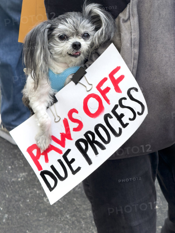 Demonstrators participating in "Our City, Our Fight: Protect Migrants, Protect the Planet" protest, New York City, New York, April 19, 2025