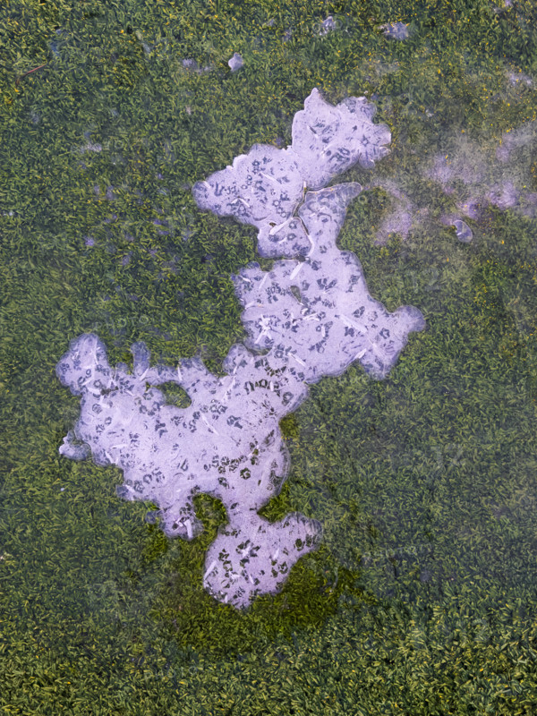 High angle view of frozen water on green synthetic grass