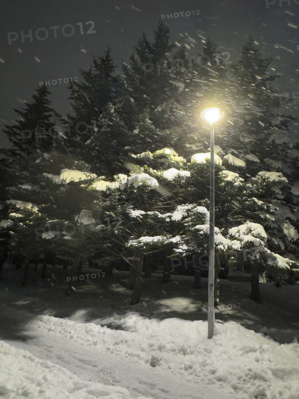 Illuminated lamppost at night in winter