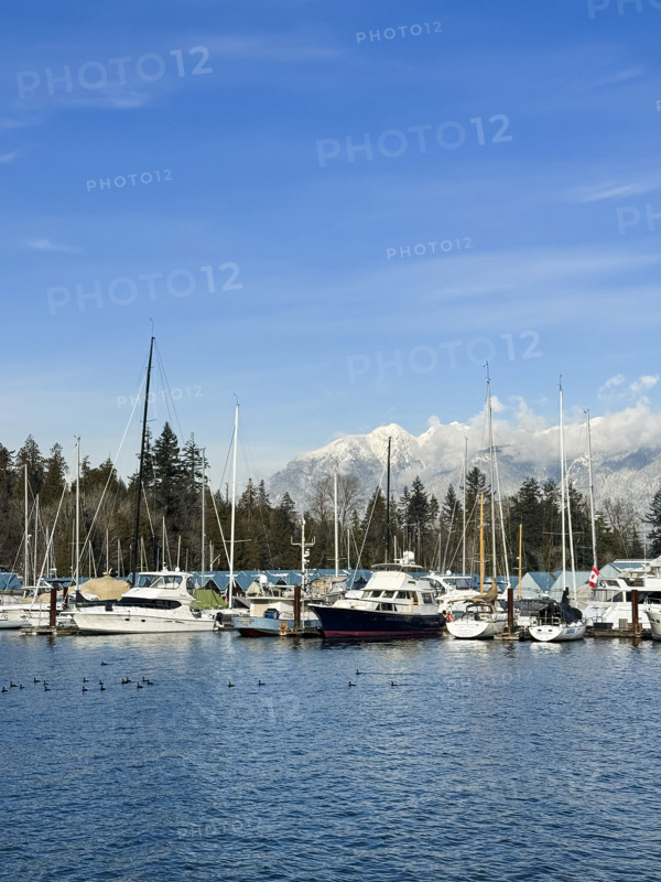 Boats in harbor with majestic snow-covered mountains in background, Coal Harbour, Vancouver, British Columbia, Canada