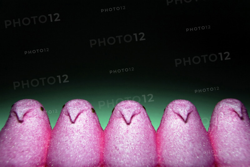 Marshmallow Chicks