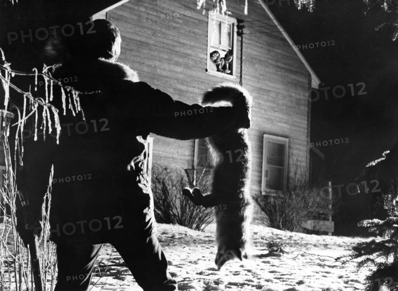 Keir Dullea (rear view with fox), Sandy Dennis, Anne Heywood, on-set of the film, "The Fox", Warner Bros.-Seven Arts, Claridge Pictures, 1967