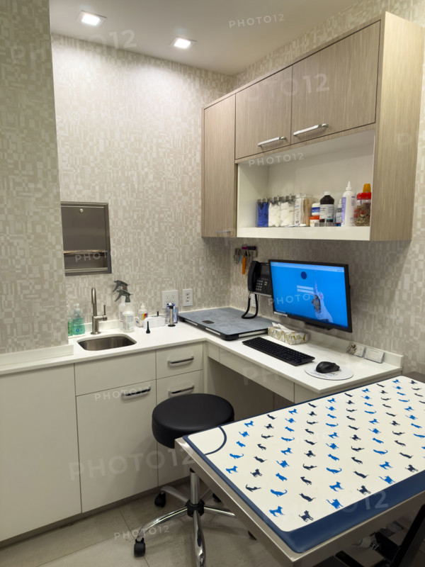 Veterinary exam room