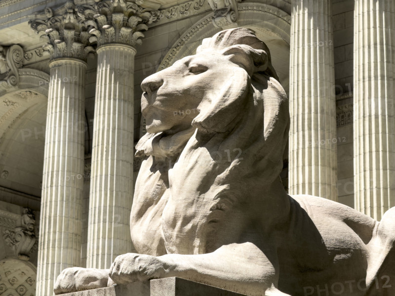 Lion statue Fortitude sitting atop pedestal, New York Public Library, Fifth Avenue, New York City