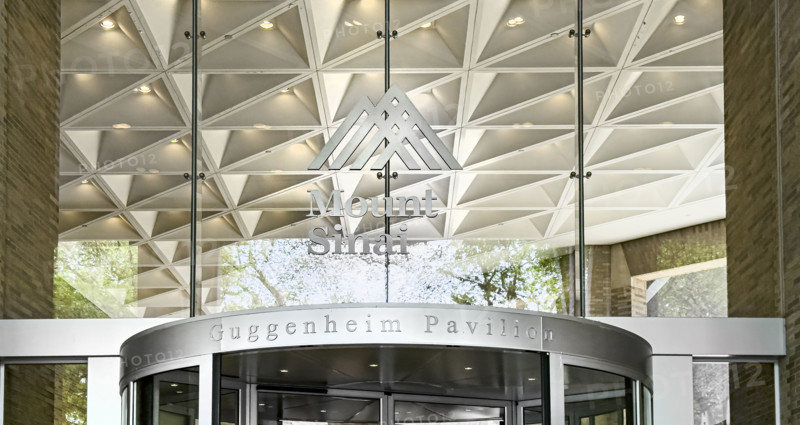 Guggenheim Pavilion, Mount Sinai Hospital, New York City