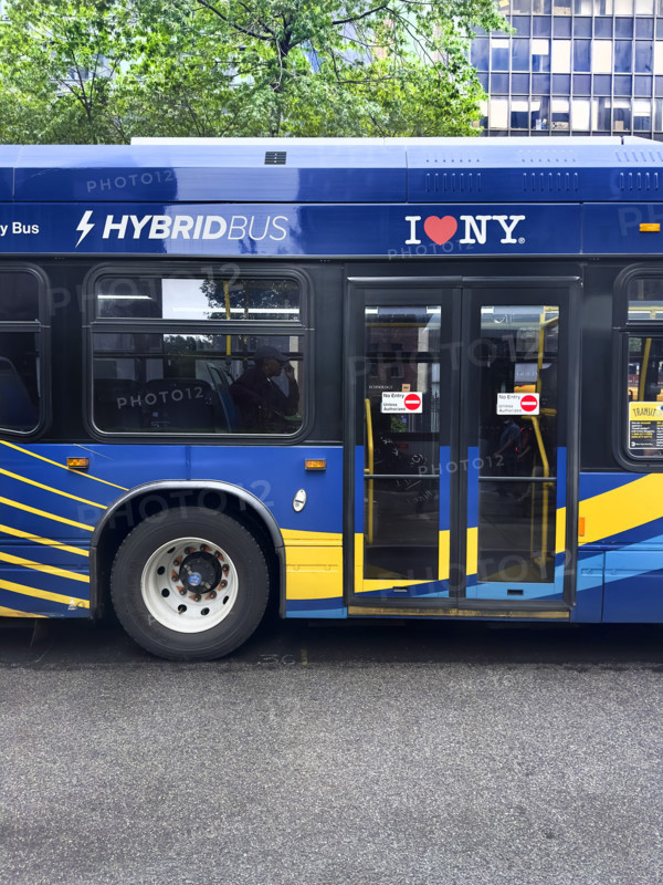 Hybrid Bus, rear view, Broadway, New York City