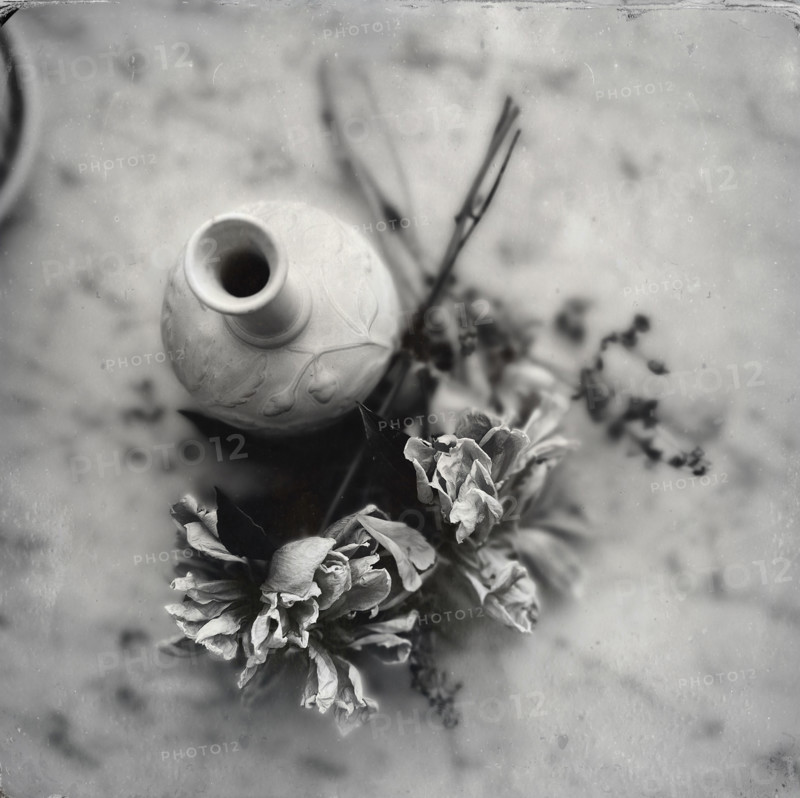 Empty vase with pile of dried flowers by its side