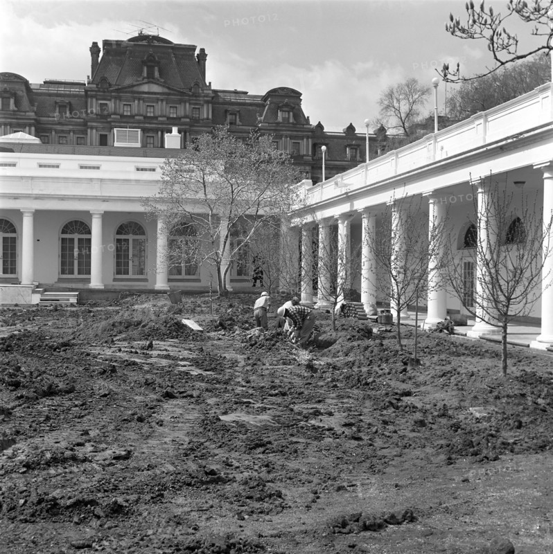 Three unidentified workers dig into section of the lawn at the Rose Garden construction site near West Wing Colonnade, White House, Washington, D.C.., USA, Robert Knudsen, White House Photographs, April 2, 1962