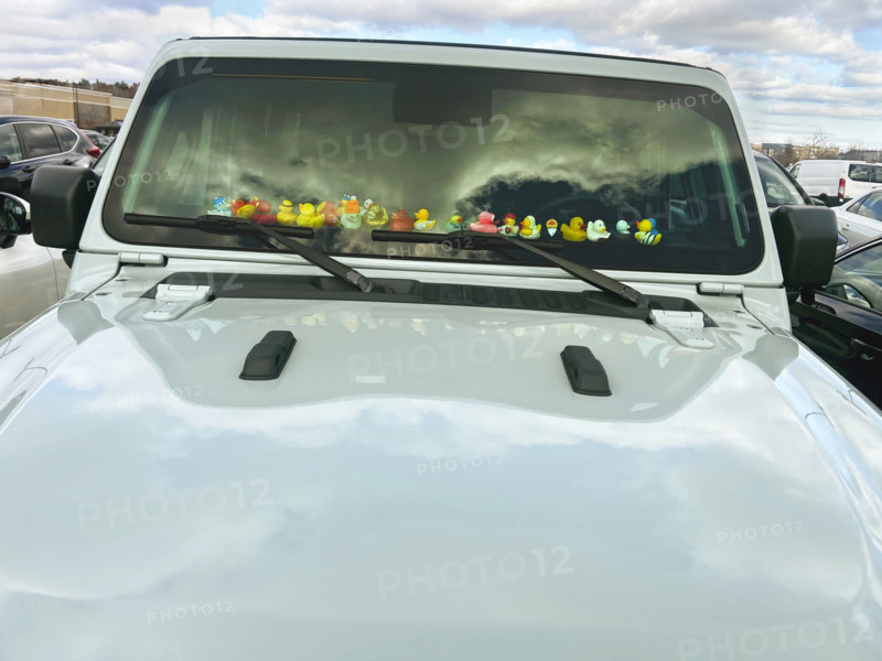Collection of rubber ducks on Jeep dashboard