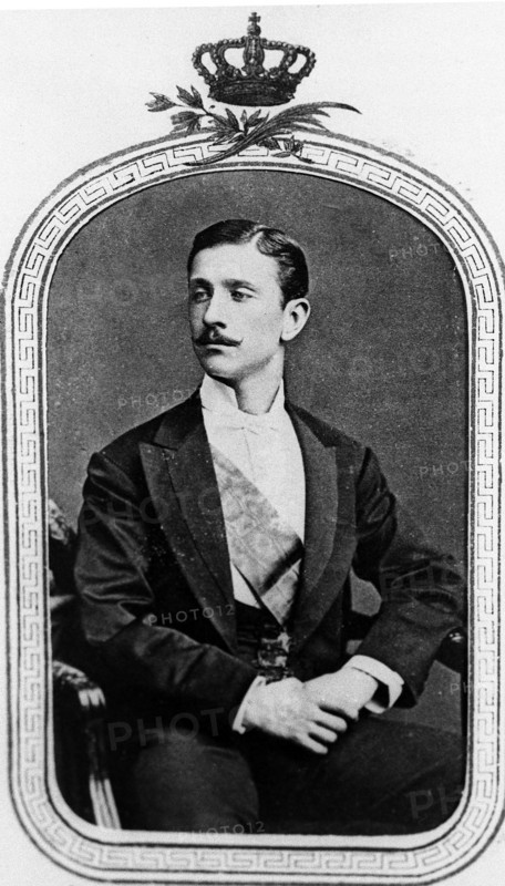 Le Prince Impérial Napoléon