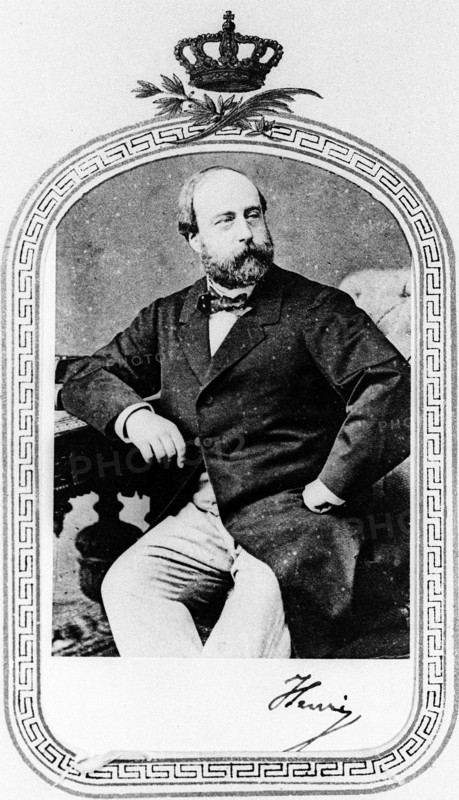 Le Prince Henri de France, Comte de Chambord
