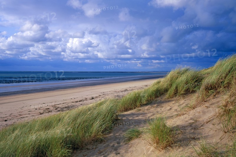 Dune at Audresselles, Pas-de-Calais