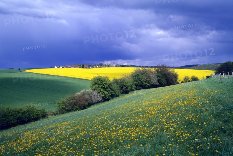 Landscape of agricultural countryside in the Vexin