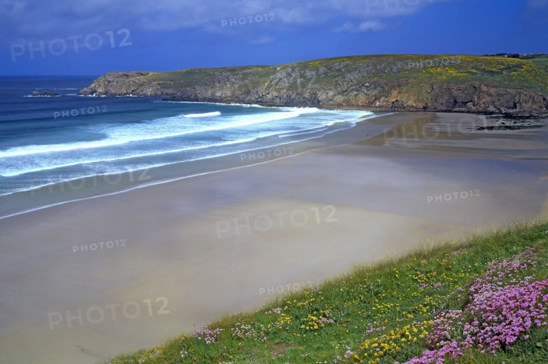 Cap Sizun, Finistère