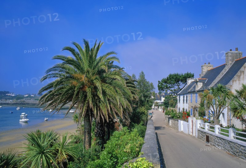 Ile de Batz, Finistère