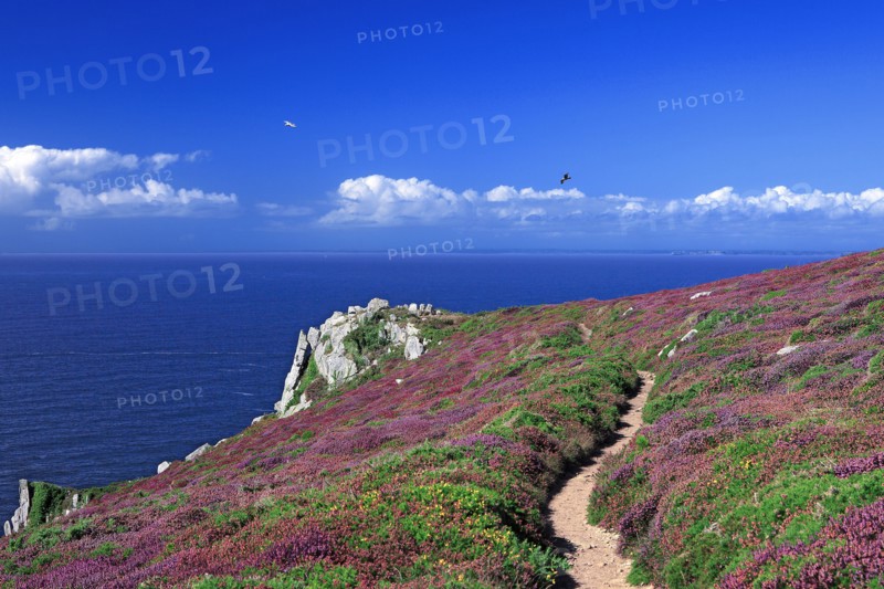 Paysage côtier de la baie de Douarnenez, Finistère