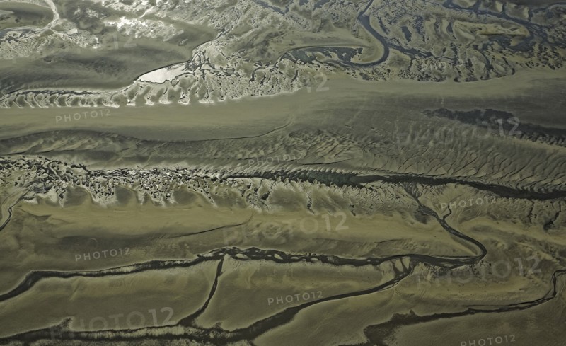 Baie d'Authie, Pas-de-Calais
