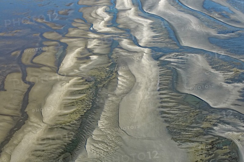 Baie d'Authie, Pas-de-Calais