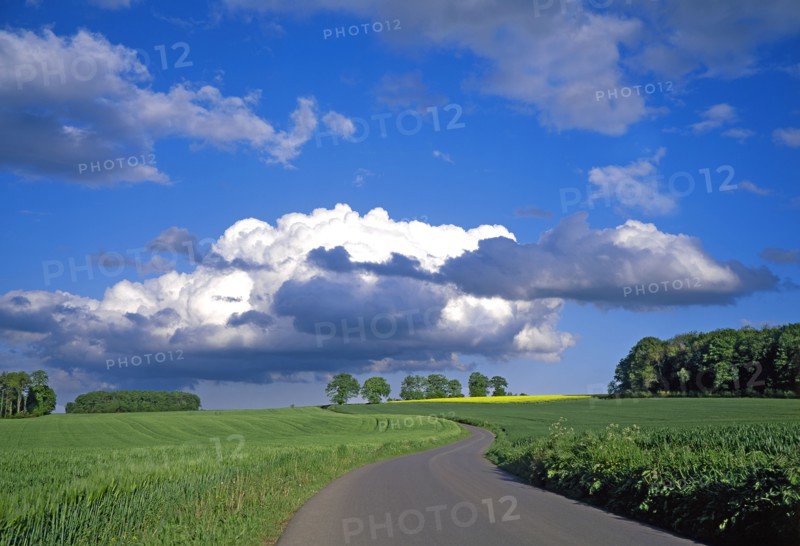 Landscape of Picardy