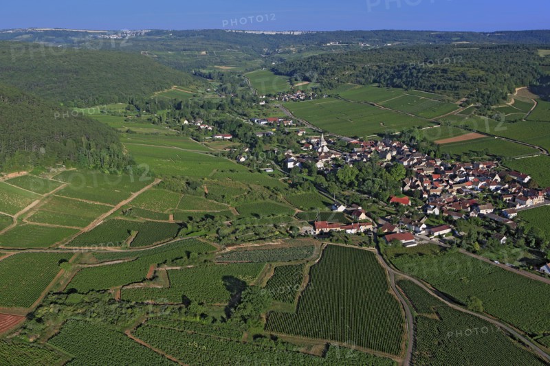 Auxey-Duresses, Côte-d'Or