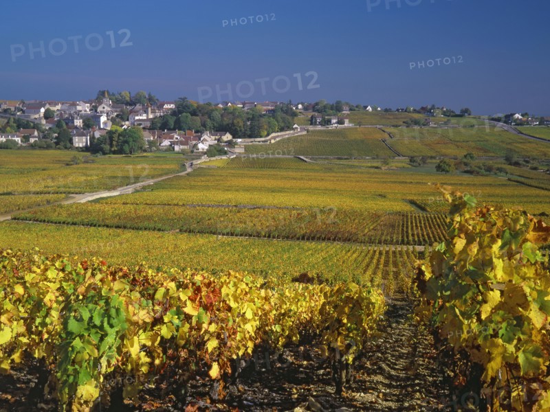 Pernand-Vergelesses, Côte-d'Or