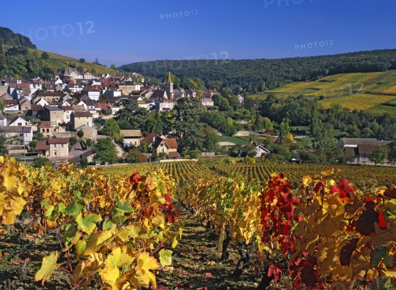 Pernand-Vergelesses, Côte-d'Or