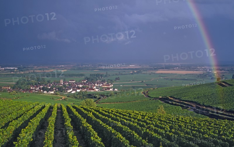 Pommard, Côte-d'Or