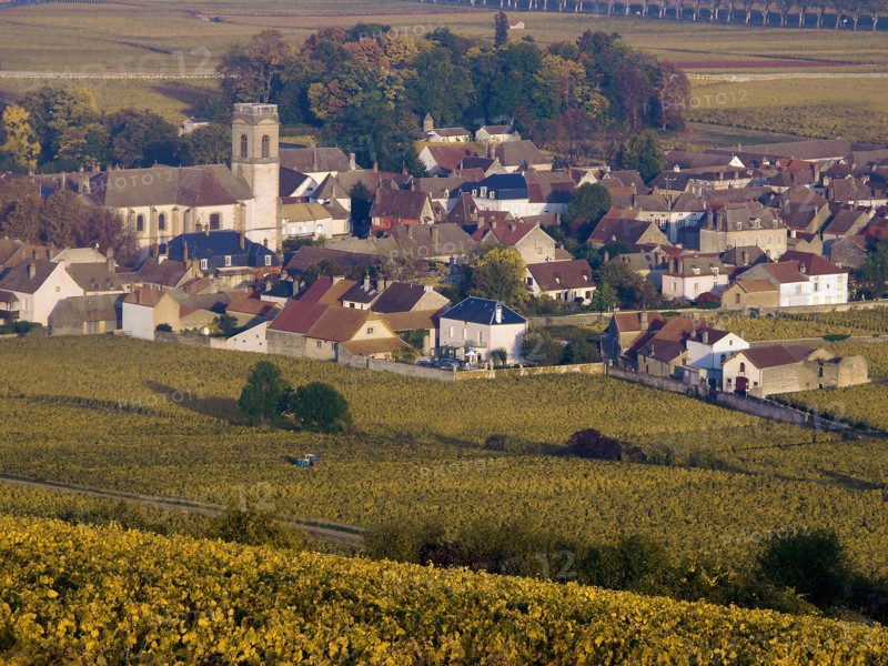 Pommard, Côte-d'Or