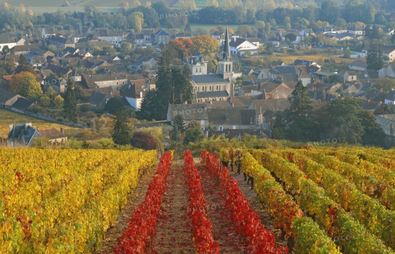 Santenay, Côte-d'Or