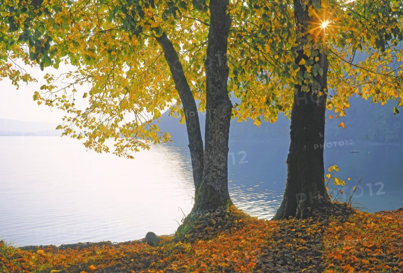 Le lac de Chalain, Jura