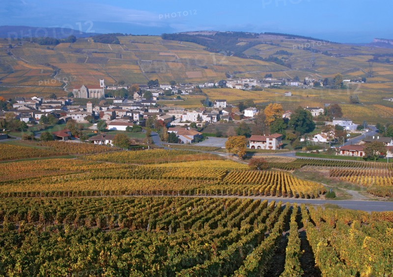 Pouilly-Fuissé, Saône-et-Loire