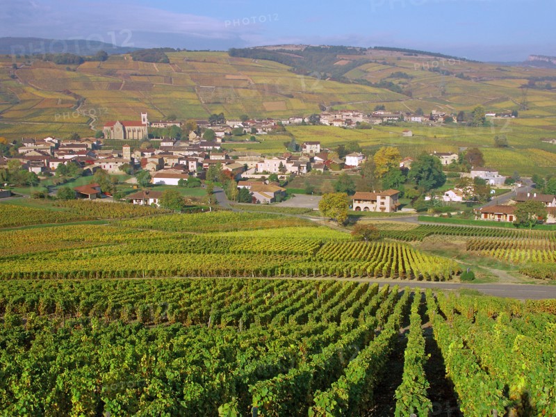 Pouilly-Fuissé, Saône-et-Loire
