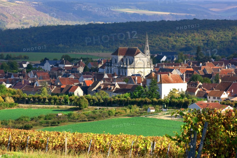 Coulanges-la-Vineuse, Yonne